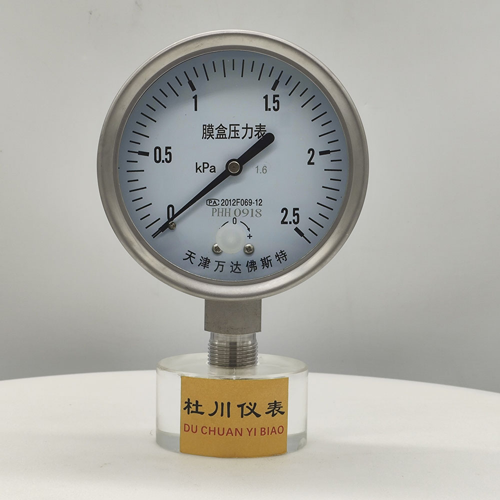 天津萬達(dá)佛斯特YE100BF  ，1.6級，2.5kpa.jpg