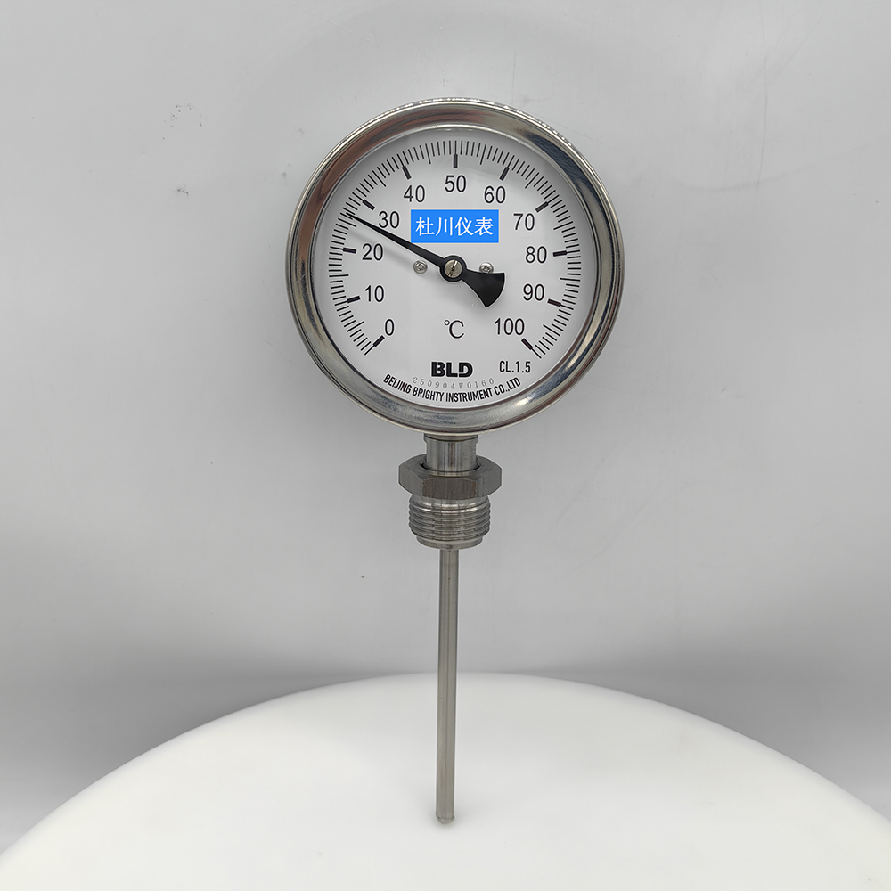 WSS411BF，100℃，100mm.jpg